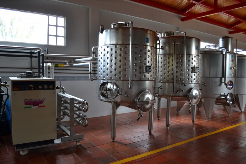 cave-BELVEDERE-min_wine_production_cantine_winery_drink_alcohol_vine_beverage-902036